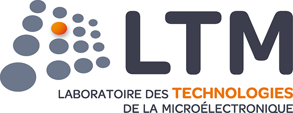 LTM+sign-laser-copie